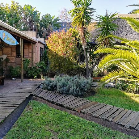 Saltycrax Backpackers And Surf Hostel By Curiocity Bloubergstrand Buitenkant foto