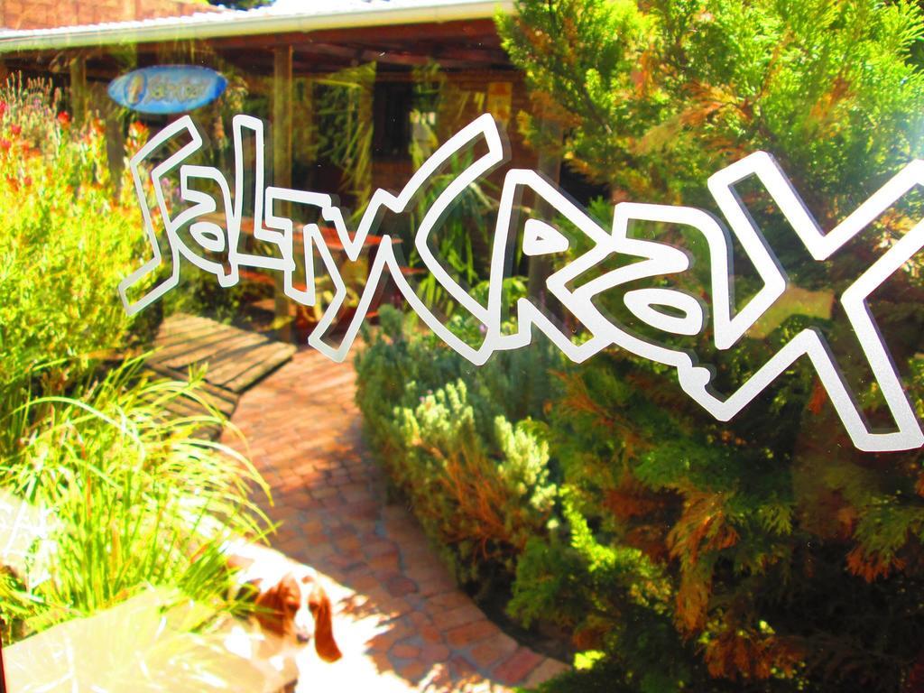 Saltycrax Backpackers And Surf Hostel By Curiocity Bloubergstrand Buitenkant foto