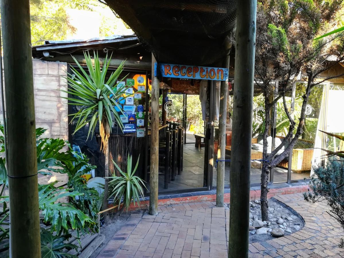 Saltycrax Backpackers And Surf Hostel By Curiocity Bloubergstrand Buitenkant foto