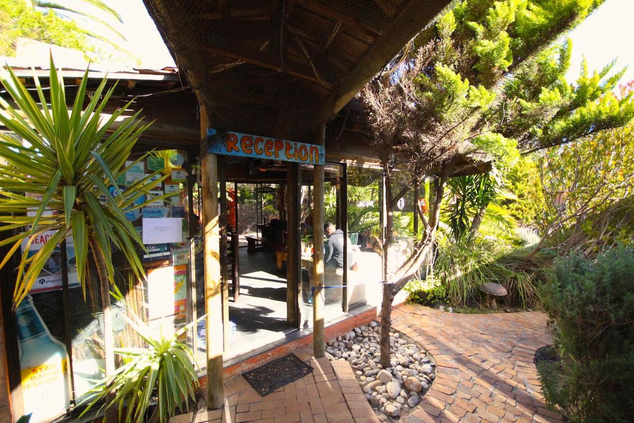 Saltycrax Backpackers And Surf Hostel By Curiocity Bloubergstrand Buitenkant foto